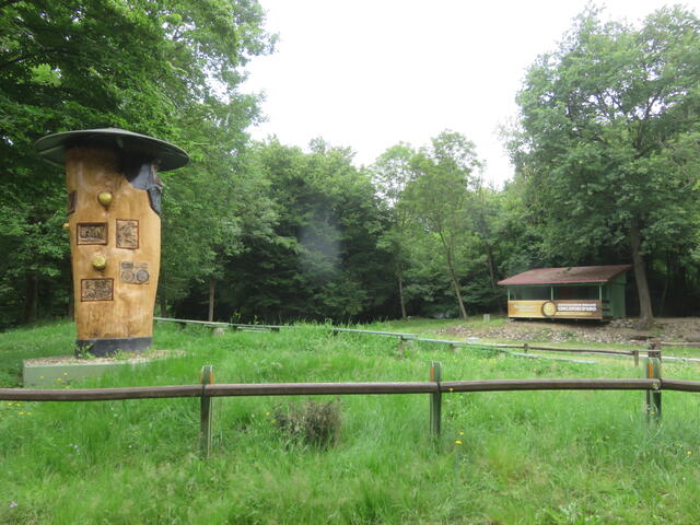 Arena Polivalente Cercatori d'Oro (Vermogno)