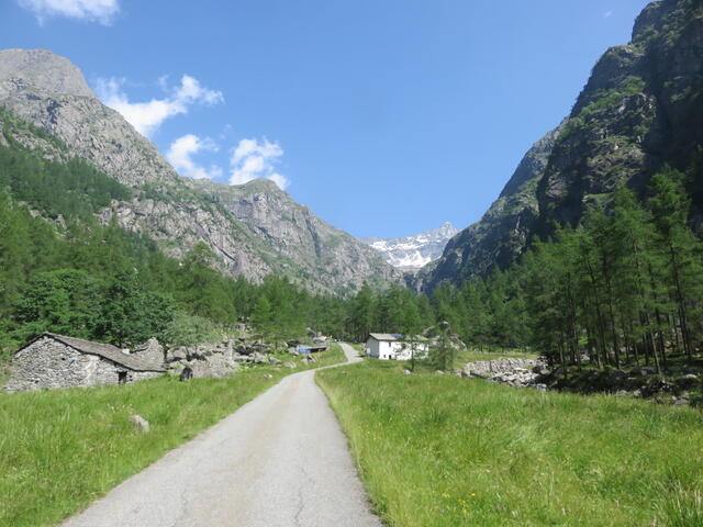 Le Casette (vallone di Piantonetto)