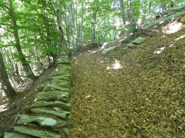 sentiero verso il col Cassulé