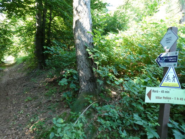 il col Cassulé