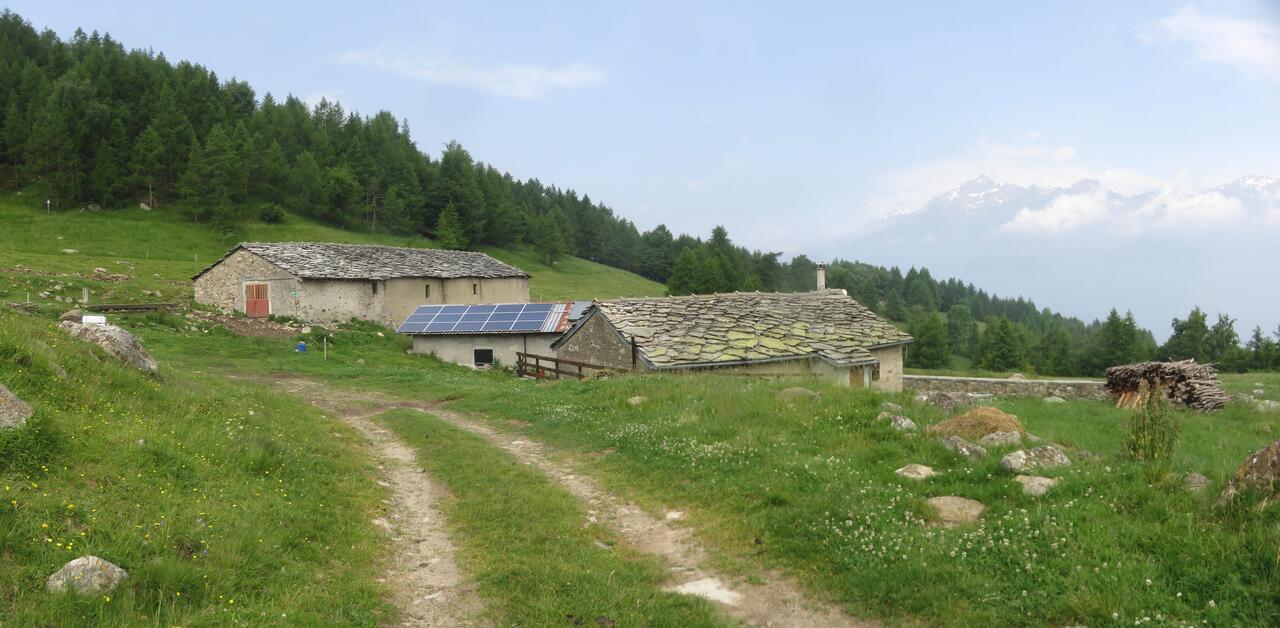 alpe Fumavecchia